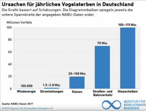 Diagramm zu Ursachen für jährliches Vogelsterben in Deutschland; es ist zu erkennen, dass Glasscheiben für 115 Mio. tote Vögel sorgen, Katzen für 20 Mio. und Windenergie für 100.000; basierend auf Schätzwerten des NABUS aus dem Jahr 2017